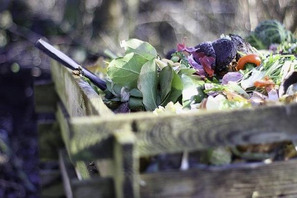 Les avantages du compostage par rapport aux engrais chimiques