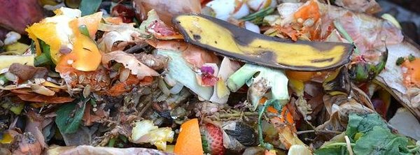 Tirer le meilleur parti de vos déchets de cuisine - Le compostage à domicile