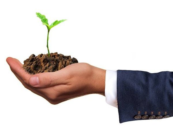 Techniques de germination : Comment faire pousser vos graines plus rapidement